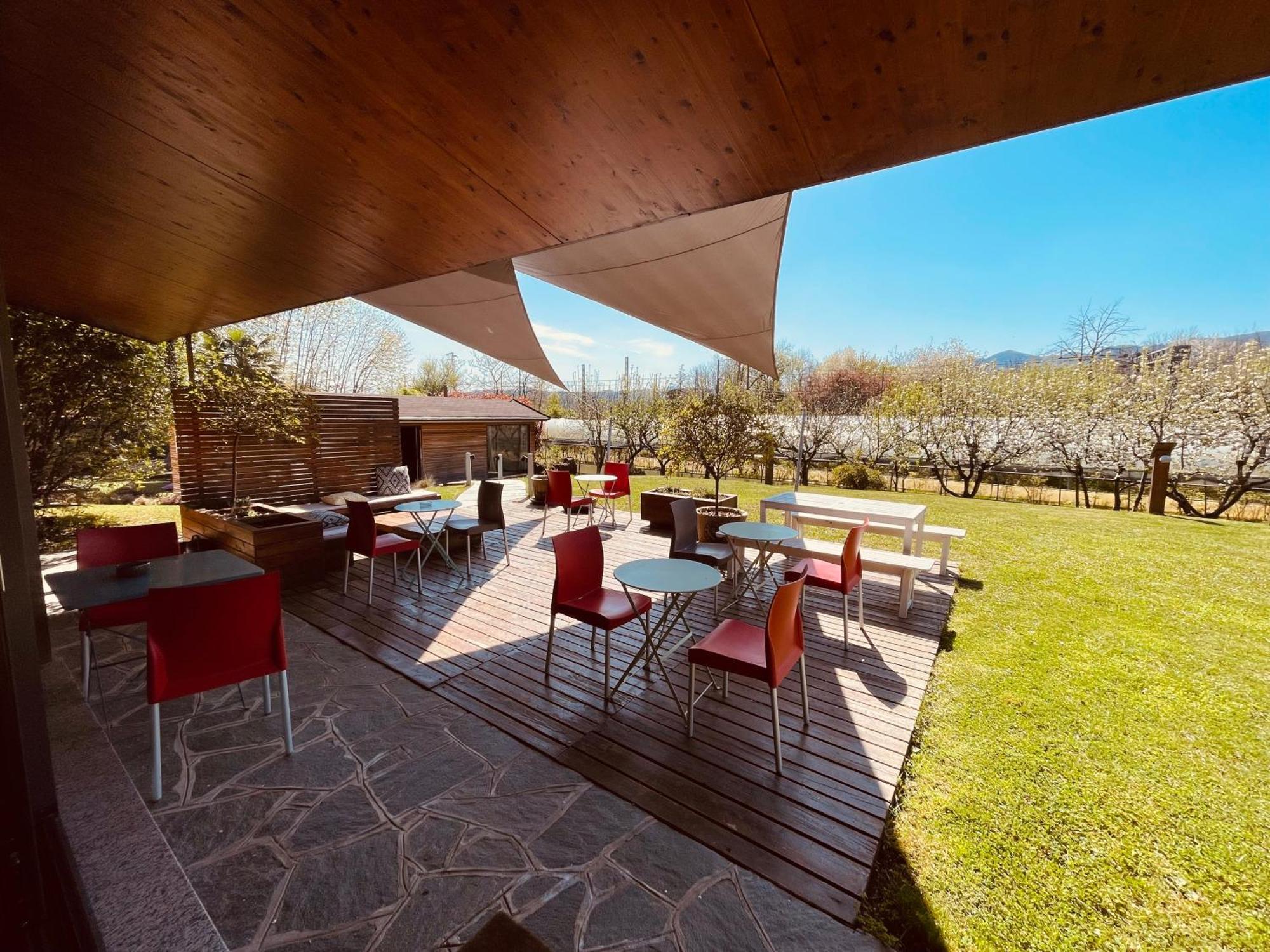 Agriturismo Il Cucchiaio Di Legno ออร์ตาซันจูลิโอ ภายนอก รูปภาพ